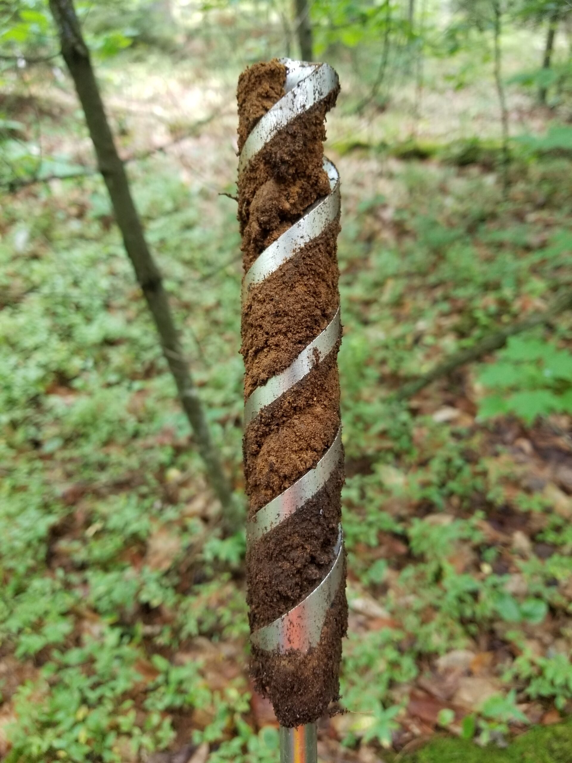 soil test for septic design maine