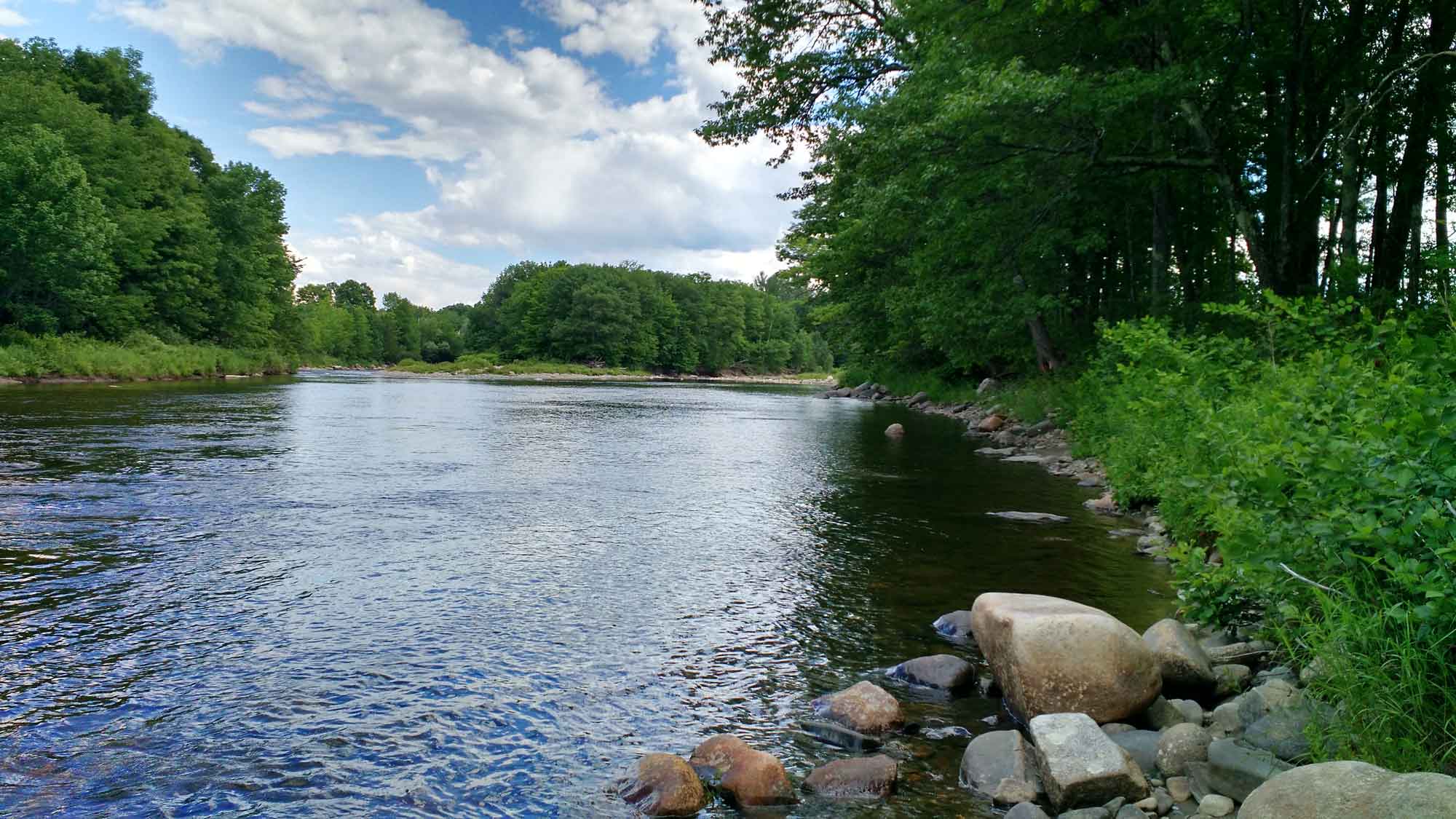 home page banner